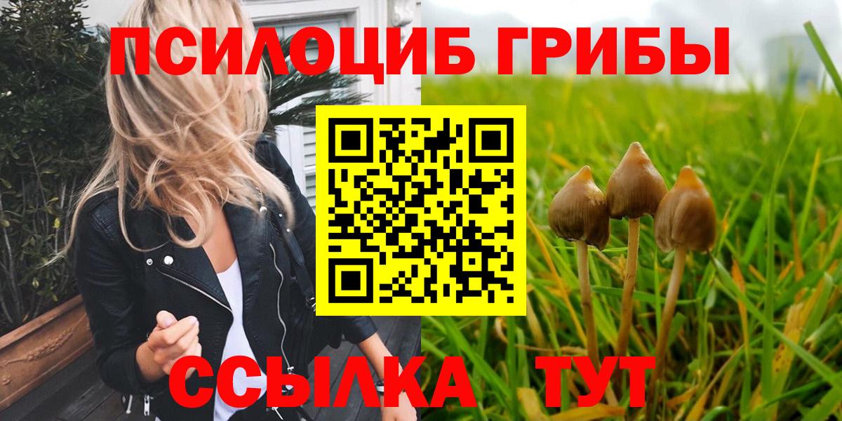 Псилоцибиновые грибы ЛСД Валуйки